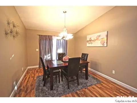 448 Chris Dr, Springfield, IL 62711 photo 12