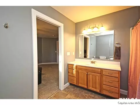 448 Chris Dr, Springfield, IL 62711 photo 28