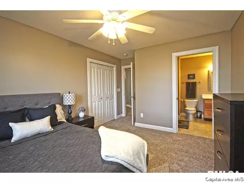 448 Chris Dr, Springfield, IL 62711 photo 16