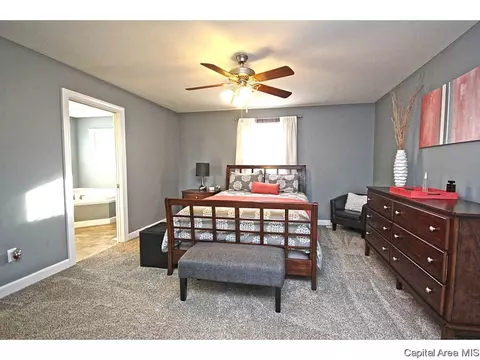 448 Chris Dr, Springfield, IL 62711 photo 19