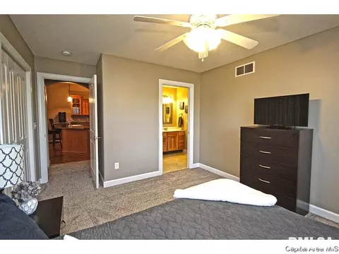 448 Chris Dr, Springfield, IL 62711 photo 17