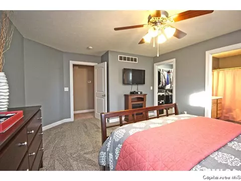 448 Chris Dr, Springfield, IL 62711 photo 21