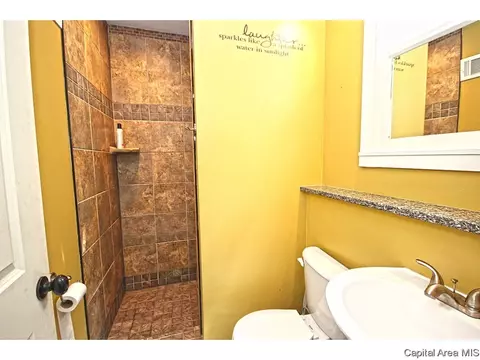 1430 W Edwards St, Springfield, IL 62704 photo 18