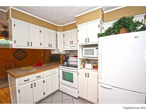 1430 W Edwards St, Springfield, IL 62704 photo 9
