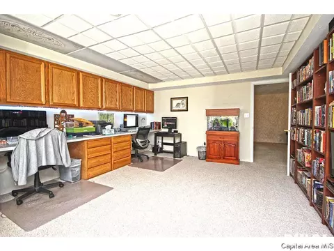 23759 Sunset Maple Ave, Athens, IL 62613 photo 31