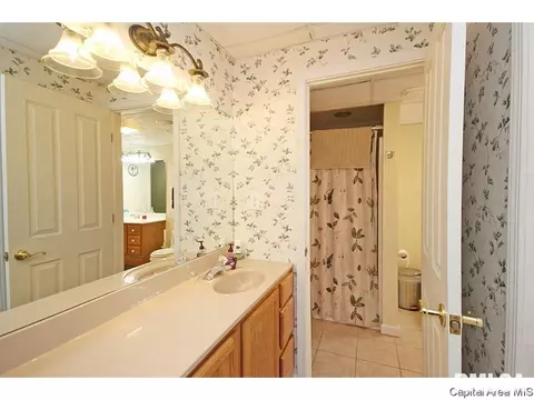 23759 Sunset Maple Ave, Athens, IL 62613 photo 23