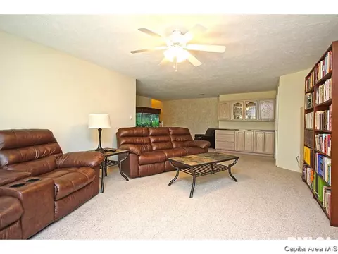 23759 Sunset Maple Ave, Athens, IL 62613 photo 28