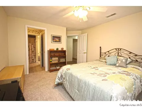 23759 Sunset Maple Ave, Athens, IL 62613 photo 22