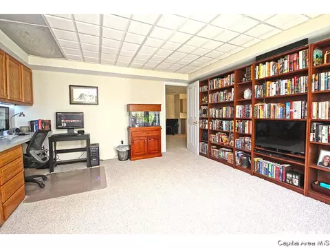 23759 Sunset Maple Ave, Athens, IL 62613 photo 32
