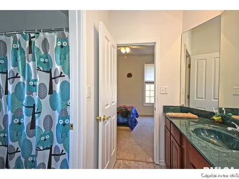 23759 Sunset Maple Ave, Athens, IL 62613 photo 24