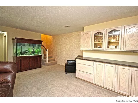 23759 Sunset Maple Ave, Athens, IL 62613 photo 27
