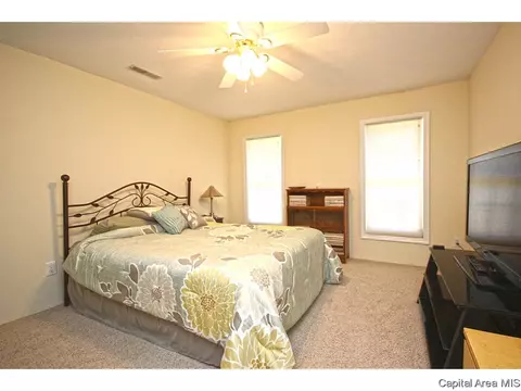 23759 Sunset Maple Ave, Athens, IL 62613 photo 21
