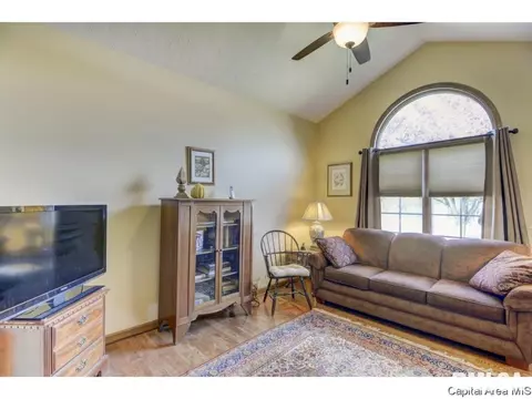 3100 Wildcat Pt, Springfield, IL 62711 photo 25