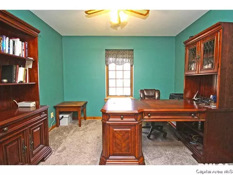 2516 Wydown Ave, Springfield, IL 62704 photo 20