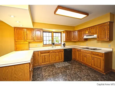 2516 Wydown Ave, Springfield, IL 62704 photo 13