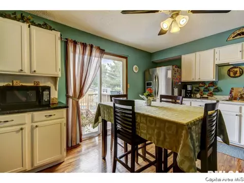 2632 Baronne, Springfield, IL 62704 photo 22