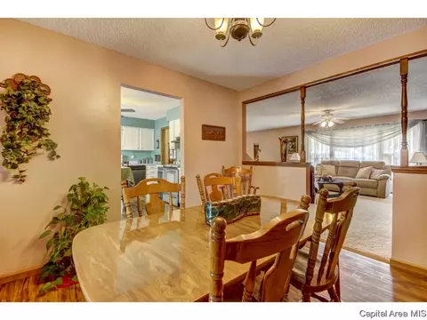 2632 Baronne, Springfield, IL 62704 photo 23