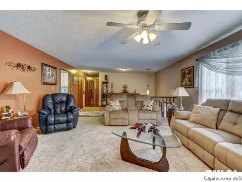 2632 Baronne, Springfield, IL 62704 photo 28
