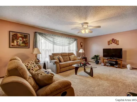 2632 Baronne, Springfield, IL 62704 photo 27