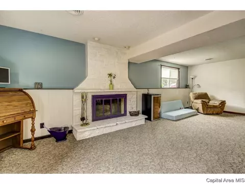 2632 Baronne, Springfield, IL 62704 photo 20