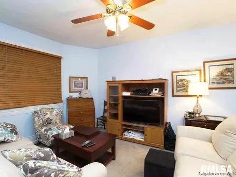 1006 N Osburn Ave, Springfield, IL 62702 photo 11