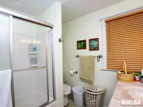 1006 N Osburn Ave, Springfield, IL 62702 photo 13