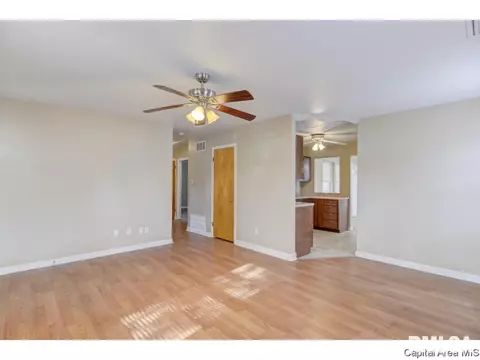 2303 Ramsey Rd, Springfield, IL 62702 photo 29