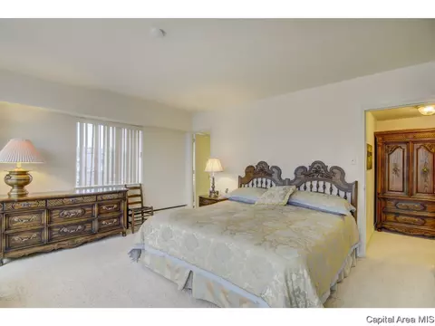 718 S 7th #100, Springfield, IL 62703 photo 20