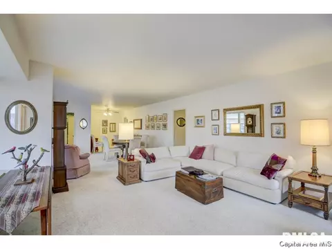718 S 7th #100, Springfield, IL 62703 photo 3