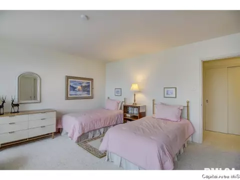 718 S 7th #100, Springfield, IL 62703 photo 24