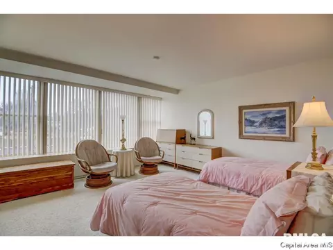 718 S 7th #100, Springfield, IL 62703 photo 23