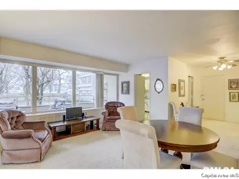 718 S 7th #100, Springfield, IL 62703 photo 10