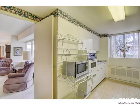 718 S 7th #100, Springfield, IL 62703 photo 14