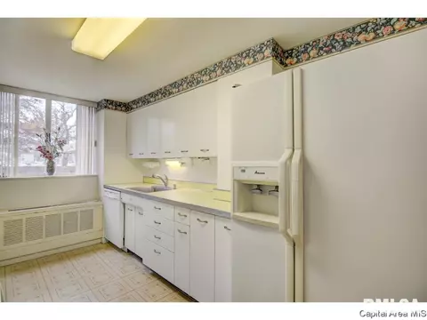 718 S 7th #100, Springfield, IL 62703 photo 17