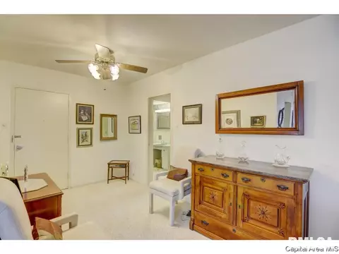 718 S 7th #100, Springfield, IL 62703 photo 13
