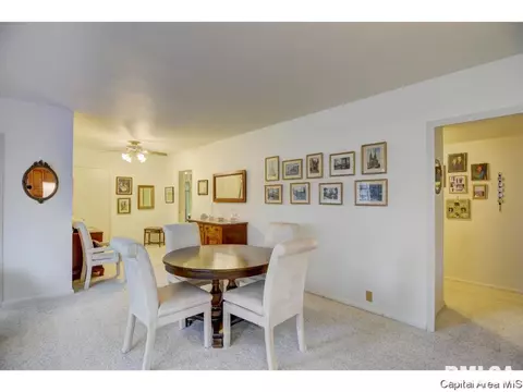 718 S 7th #100, Springfield, IL 62703 photo 7