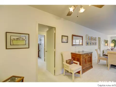718 S 7th #100, Springfield, IL 62703 photo 12