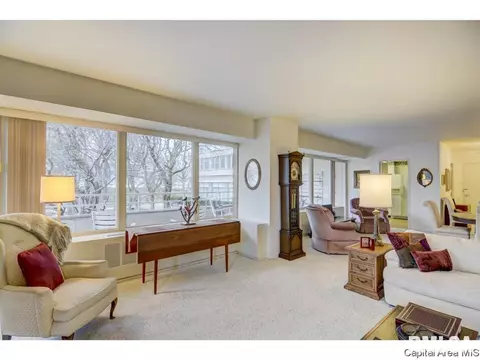 718 S 7th #100, Springfield, IL 62703 photo 6
