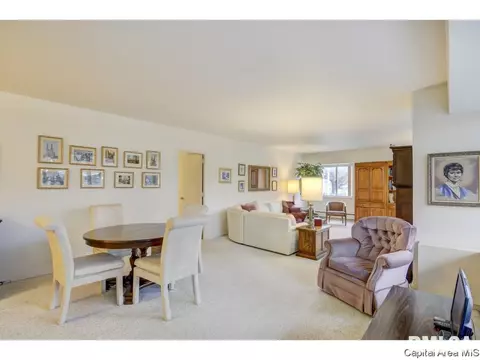 718 S 7th #100, Springfield, IL 62703 photo 8