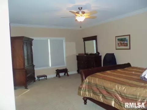 2306 Silver Stone Ct, Springfield, IL 62704 photo 9