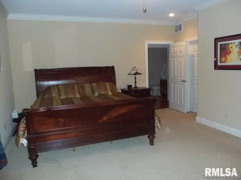 2306 Silver Stone Ct, Springfield, IL 62704 photo 10