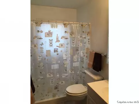 2316 Eastview Dr, Springfield, IL 62702 photo 7
