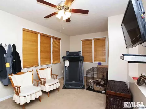 608 E Spaulding St, Riverton, IL 62561 photo 18