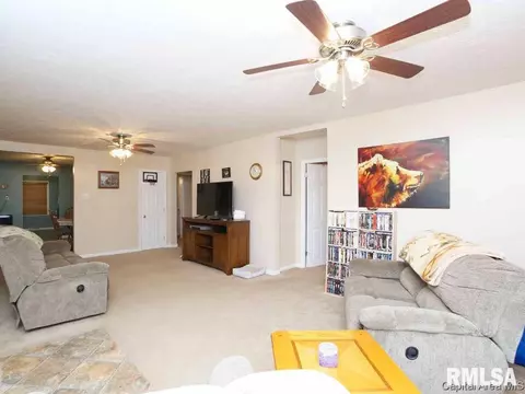 608 E Spaulding St, Riverton, IL 62561 photo 3