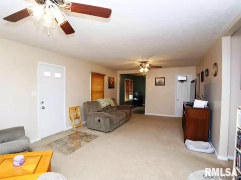 608 E Spaulding St, Riverton, IL 62561 photo 14