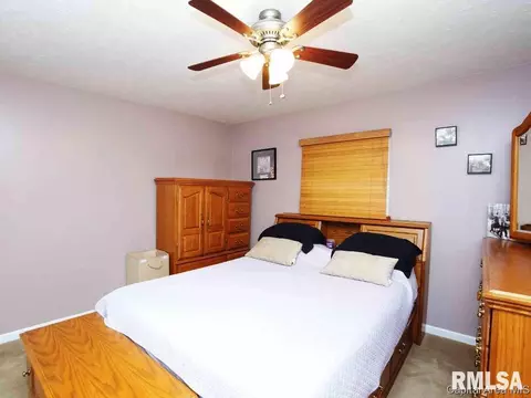 608 E Spaulding St, Riverton, IL 62561 photo 9