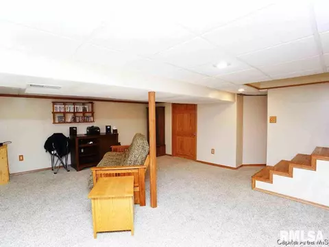 608 E Spaulding St, Riverton, IL 62561 photo 15