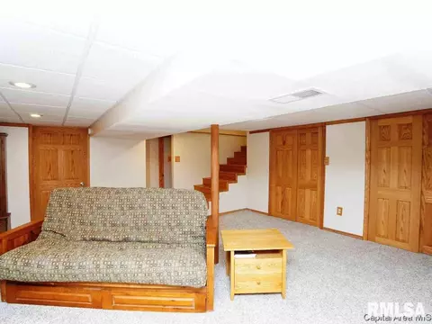 608 E Spaulding St, Riverton, IL 62561 photo 20
