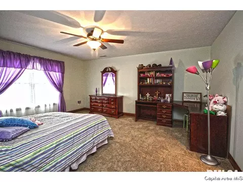 2210 Charlack Ave, Springfield, IL 62704 photo 19