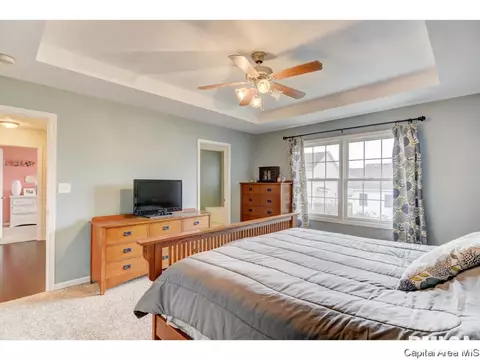 4132 Destiny Dr, Springfield, IL 62712 photo 20